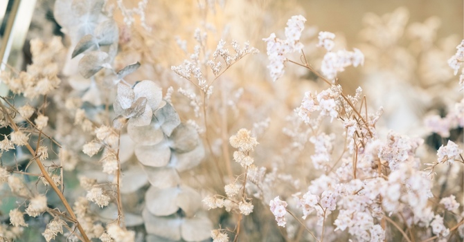 Massage Therapy (RMT)